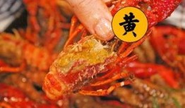 厦门龙虾爆料视频大全最新,最新爆料视频大盘点，美味瞬间尽收眼底