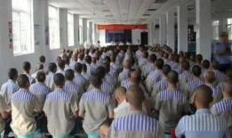 吴某监狱爆料视频最新进展,揭秘事件背后真相