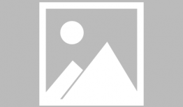 中兴最新爆料新闻,揭秘关键技术突破与市场动向